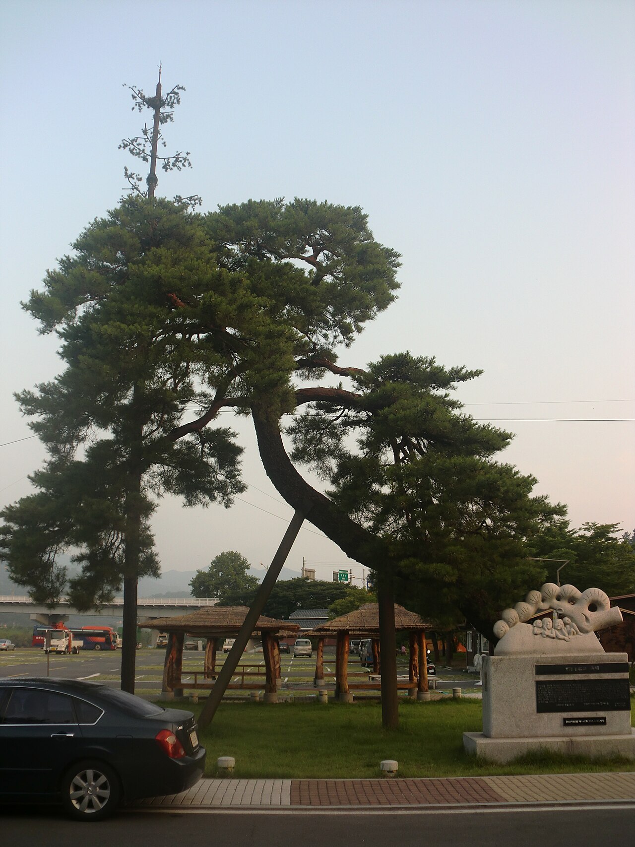 하동 송림 전경