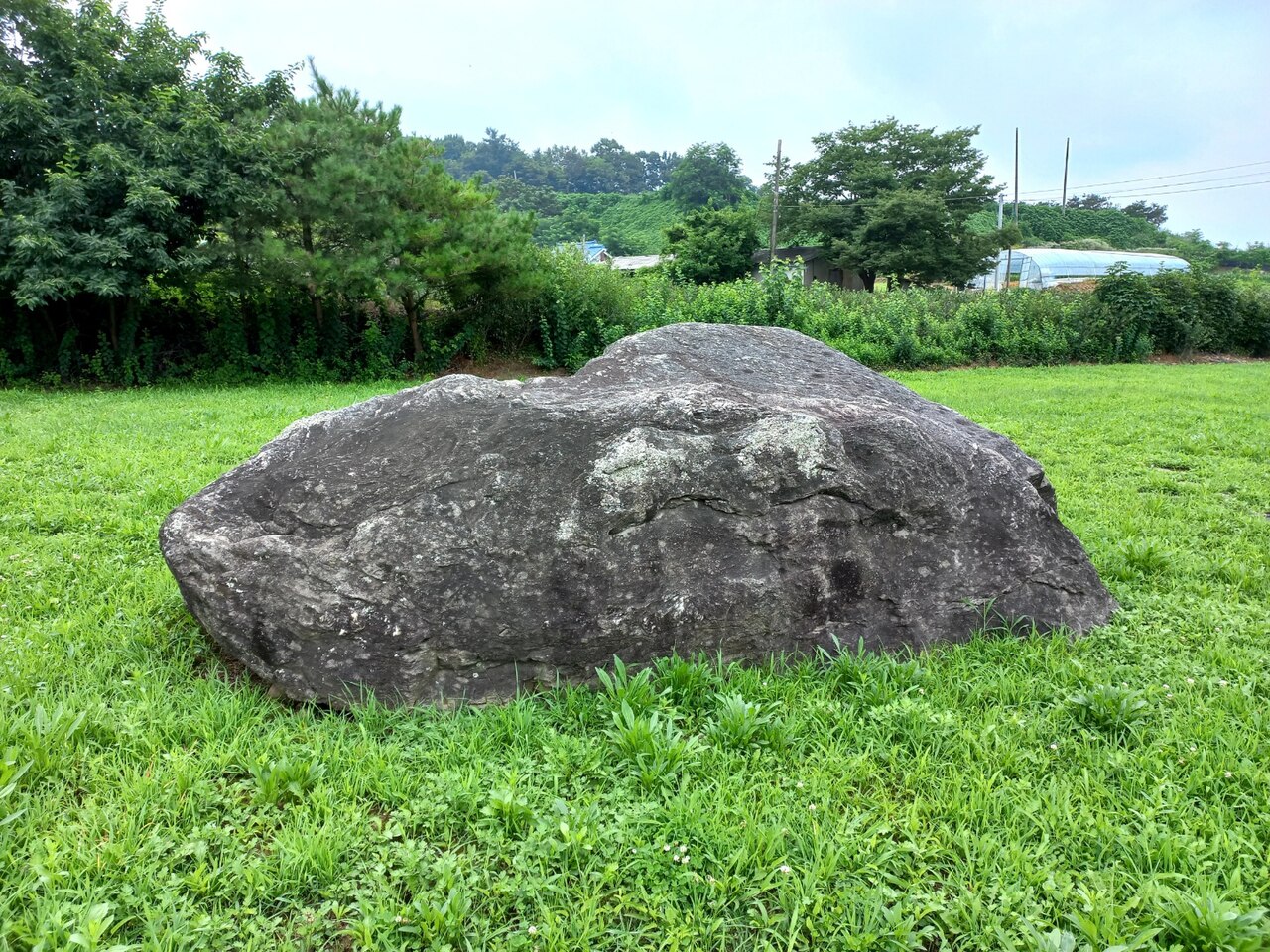 충주 신청리 고인돌 전경